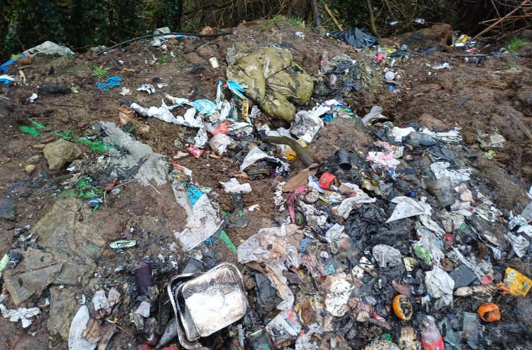 Limerick City and County Council has secured two significant environmental convictions at Kilmallock District Court this week