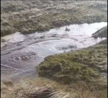 Uisce Éireann says the Food Safety Authority, Department of Agriculture, Inland Fisheries Ireland and the National Parks and Wildlife Service have been notified.