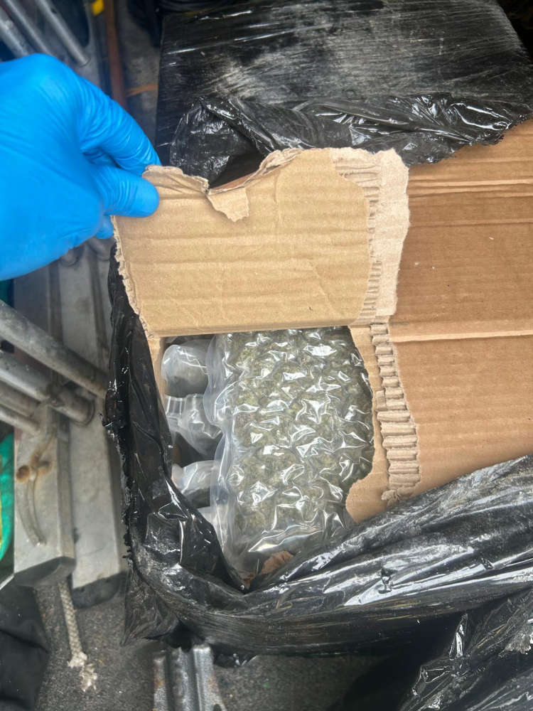 Over half a million euro worth of Cannabis seized in North Dublin ...
