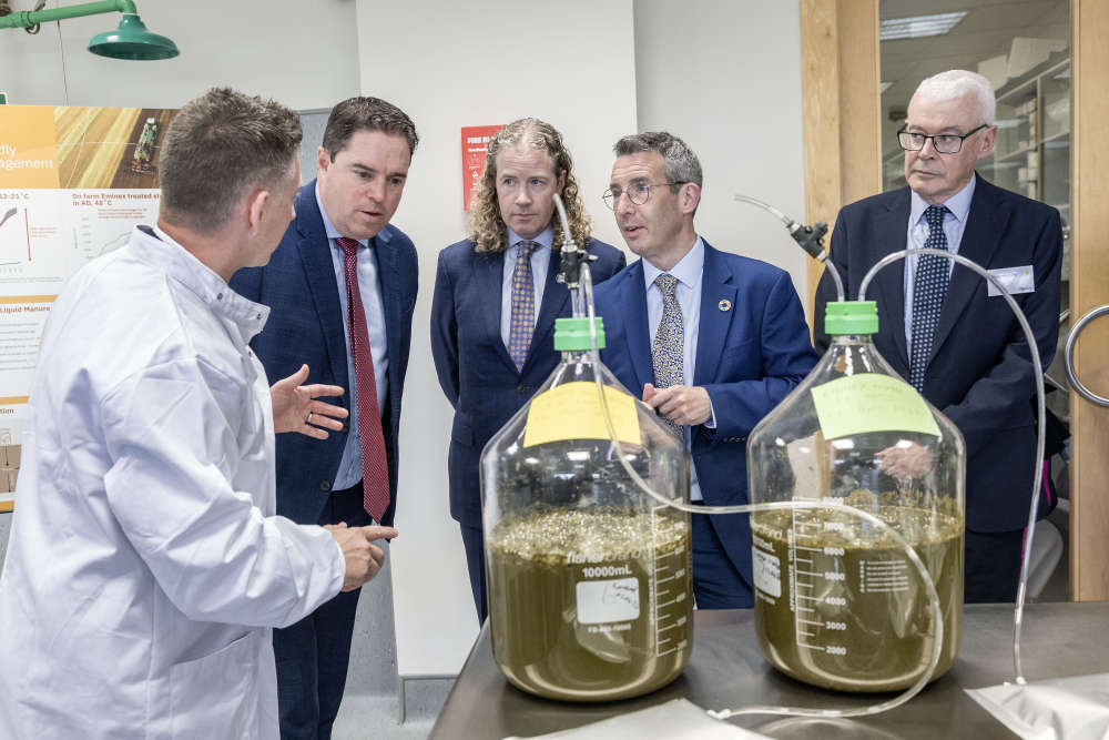 Alltech establishes expanded EU Applications Laboratory in Dunboyne - LMFM