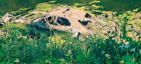 Calls to remove dumped car from River Lagan