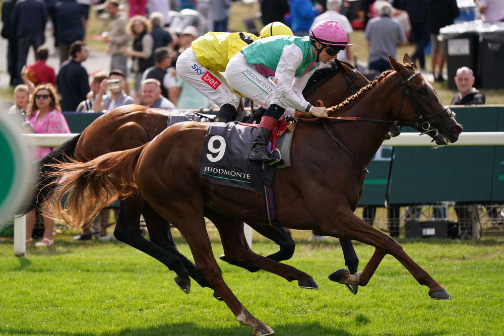 Keane and 'Item' from behind in final strides to win International Stakes