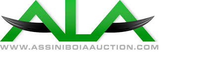 assiniboia livestock auction
