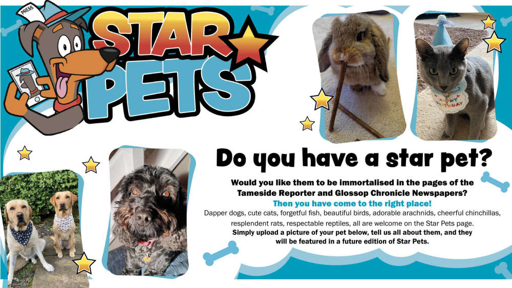 Star Pets