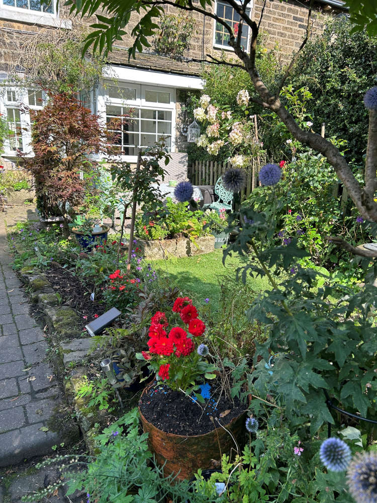 First in Garden category: 21 Lees Row