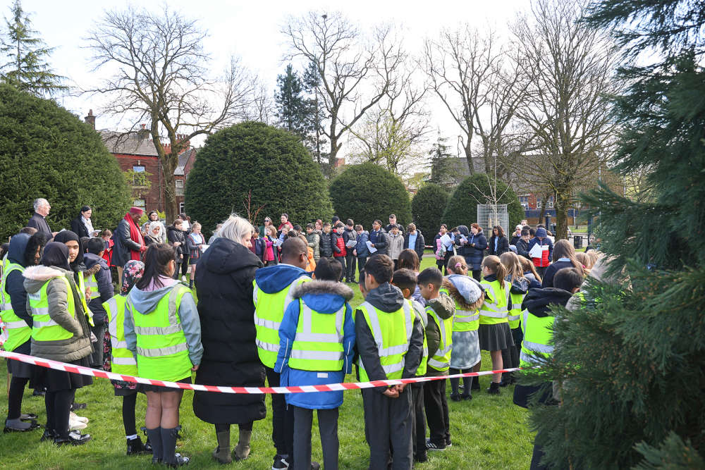 Mayor plants Ashton tree to be a living symbol of peace - Quest Media ...