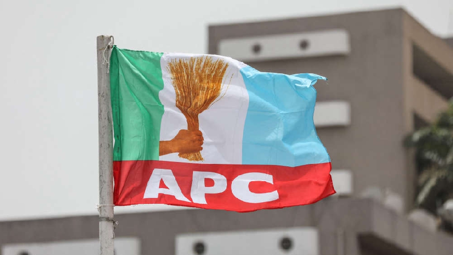 APC Flag