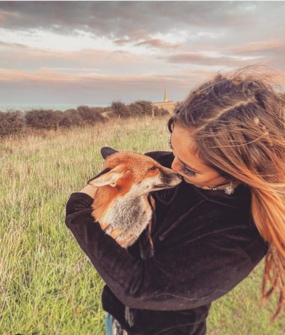Marley fox cub - Instagram @Marley_Fox_Cub