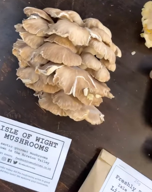 Jamie Oliver Isle of Wight Mushrooms