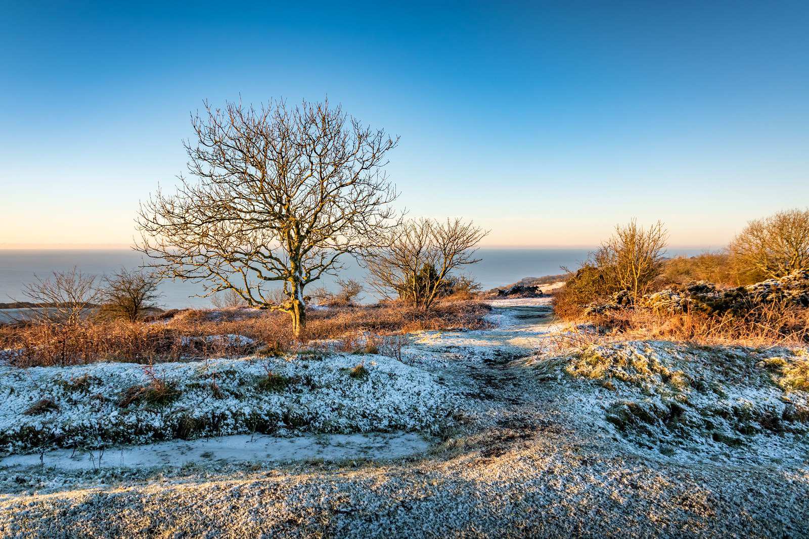 Snow - Jamie Russell Island Visions Photography