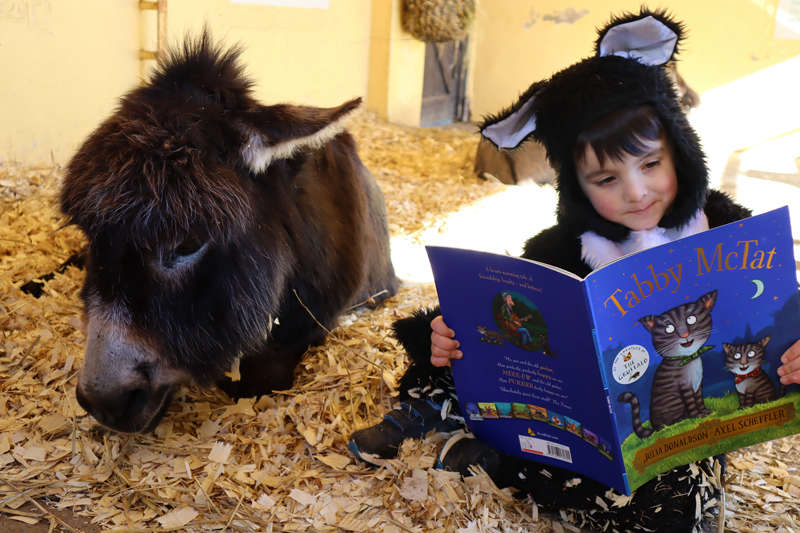 Dylan reads to Coco the Donkey