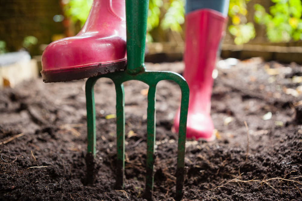 Inspired by The Secret Garden: Gardening Benefits that Shouldn't Be a Secret