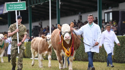 Grand Cattle Parade