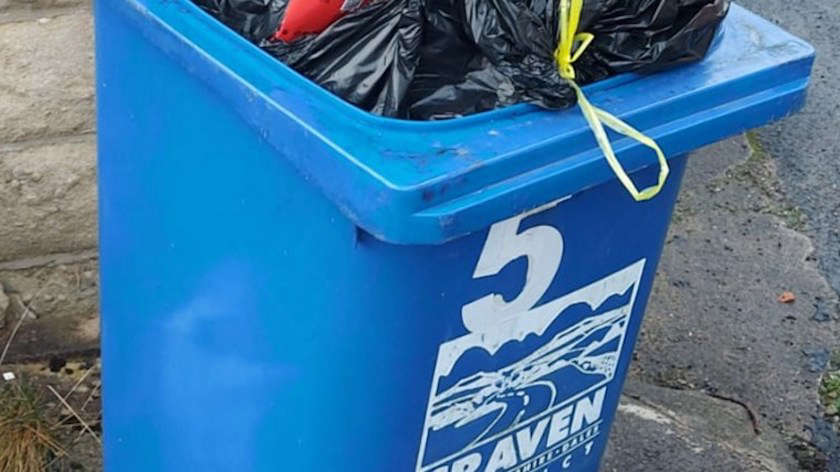 FAQ: Can You Put Trash Bags in Recycling Bins in Chicago?