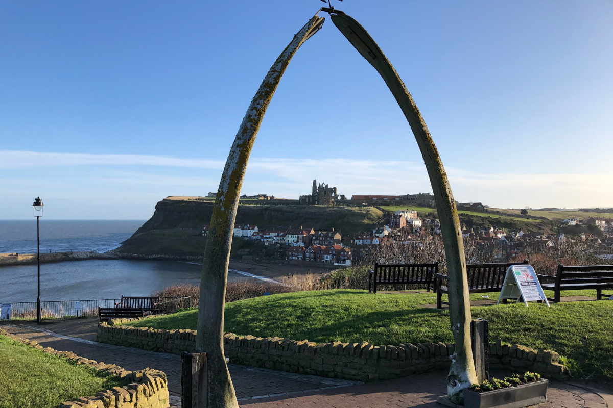 Whale Bone Bench