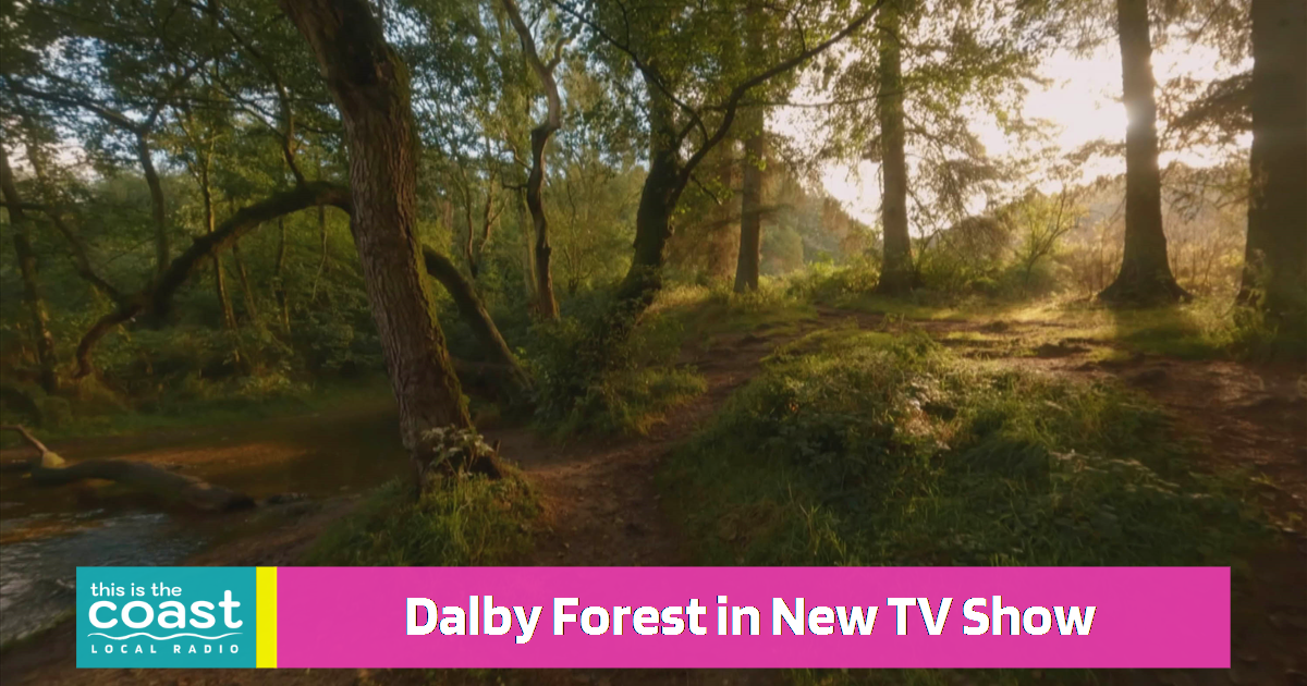 Dalby Forest to Star in New TV Show This is the Coast