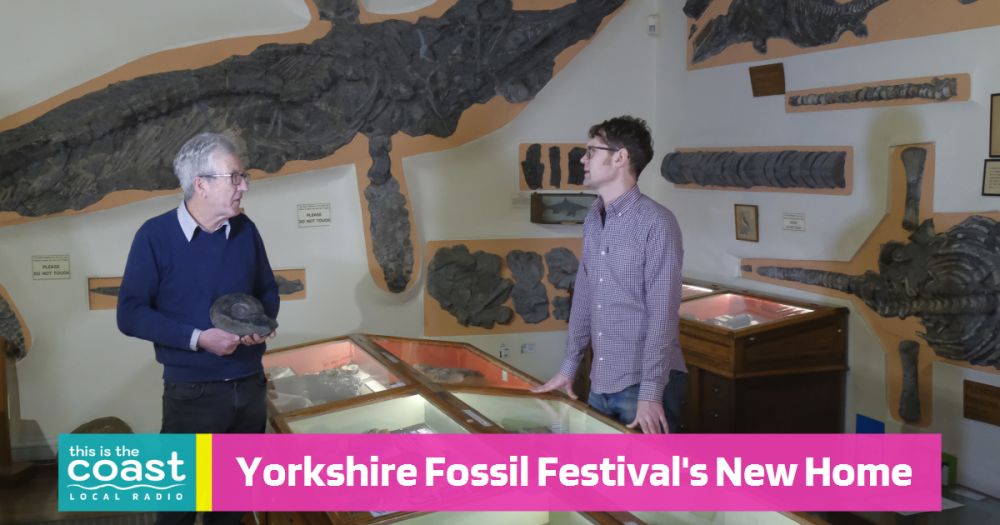 Whitby To Host This Year's Yorkshire Fossil Festival - This Is The Coast