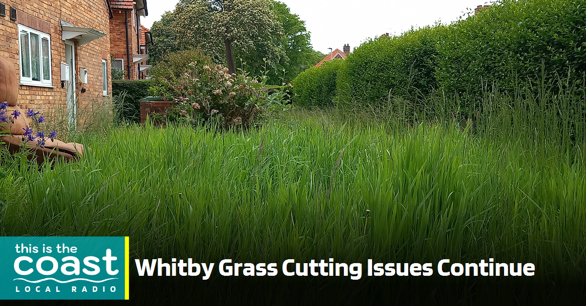 Whitby Grass Cutting Issues Continue This is the Coast