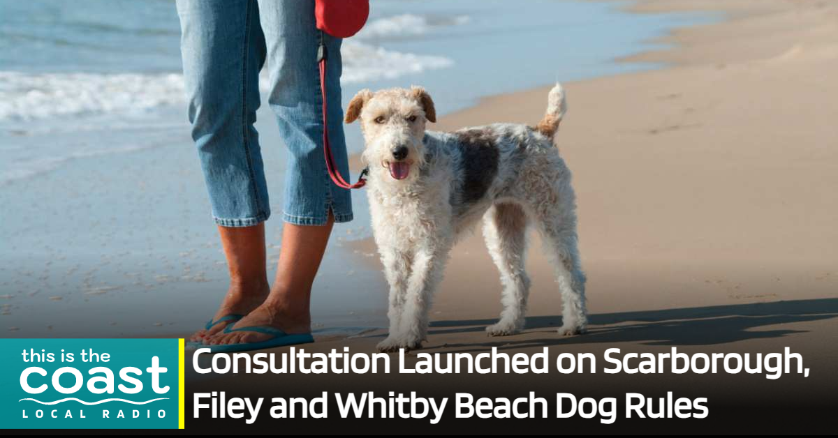 Consultation Launched on Scarborough, Filey and Whitby Beach Dog Rules