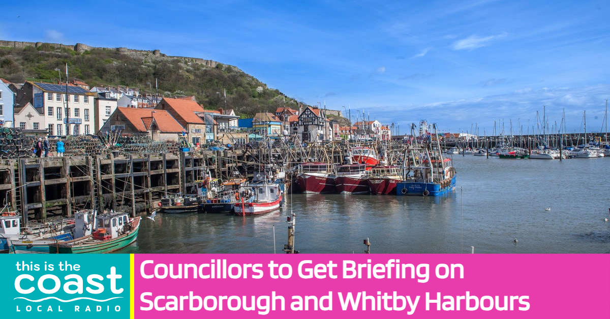 Councillors to Get Briefing on Scarborough and Whitby Harbours - This ...