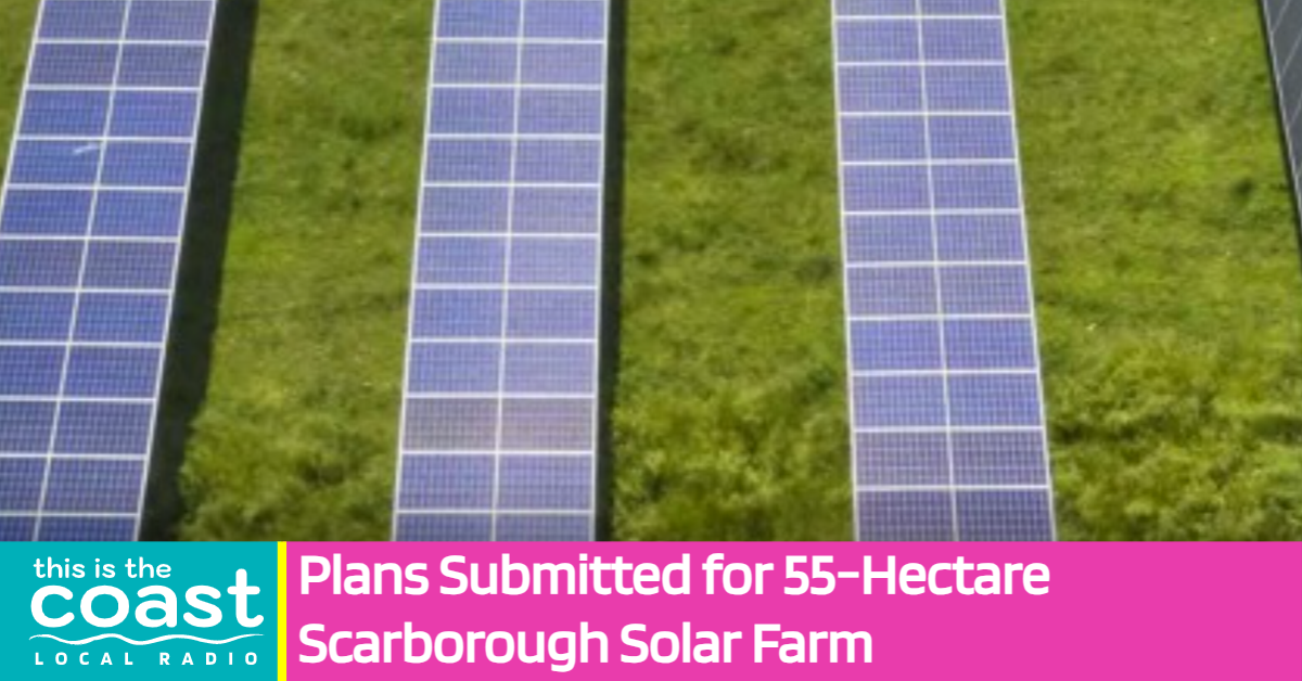 Plans Submitted for 55-Hectare Scarborough Solar Farm - This is the Coast