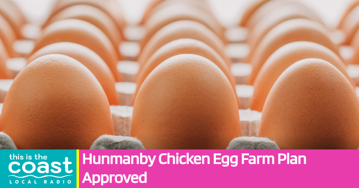 Hunmanby Chicken Egg Farm Plan Approved This is the Coast