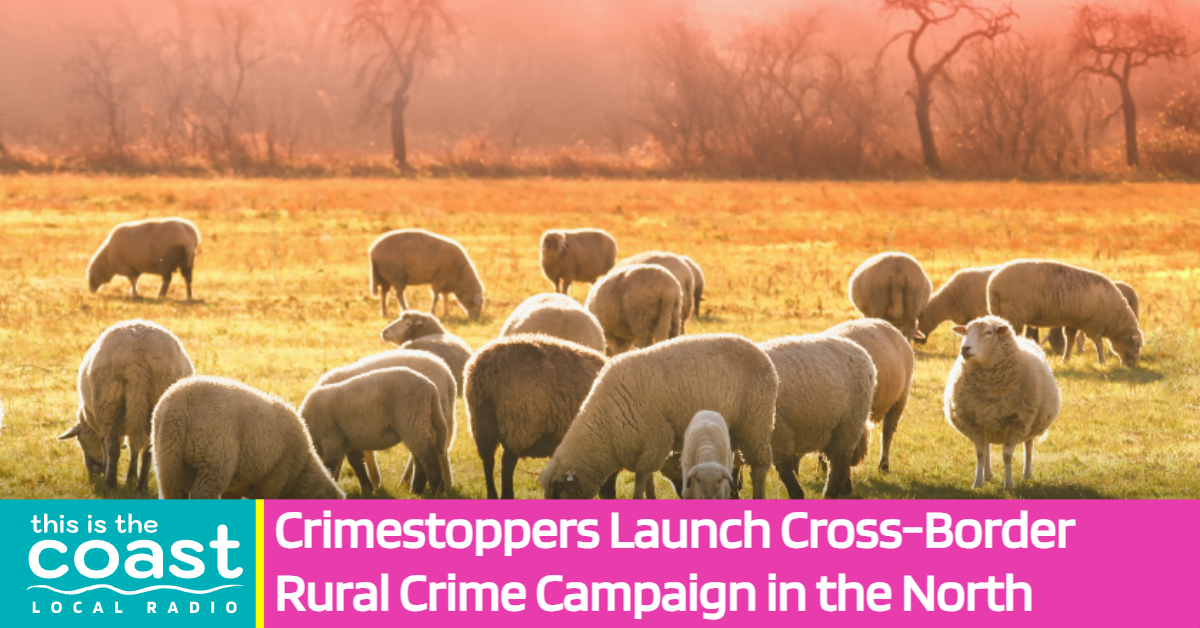 Crimestoppers Launch Cross-Border Rural Crime Campaign in the North ...