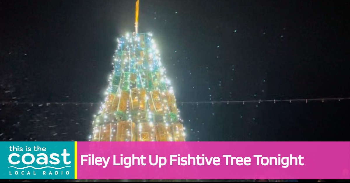 Something A Bit Fishy In Filey - This is the Coast
