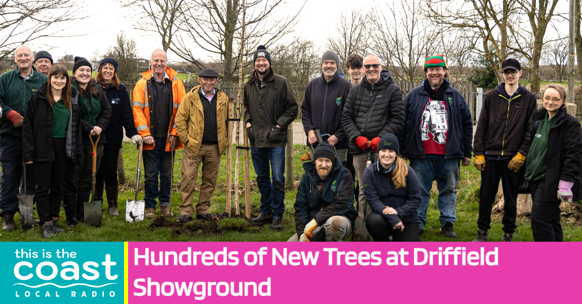 Hundreds of New Trees at Driffield Showground - This is the Coast