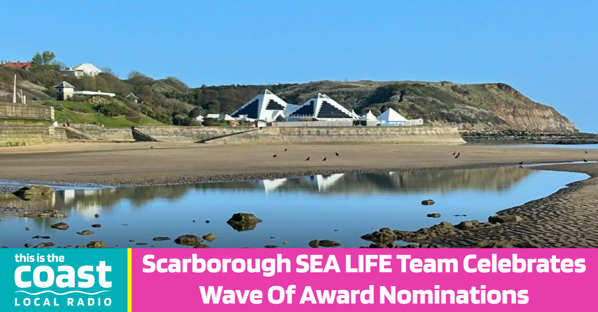 Scarborough SEA LIFE Team Celebrates Wave Of Award Nominations