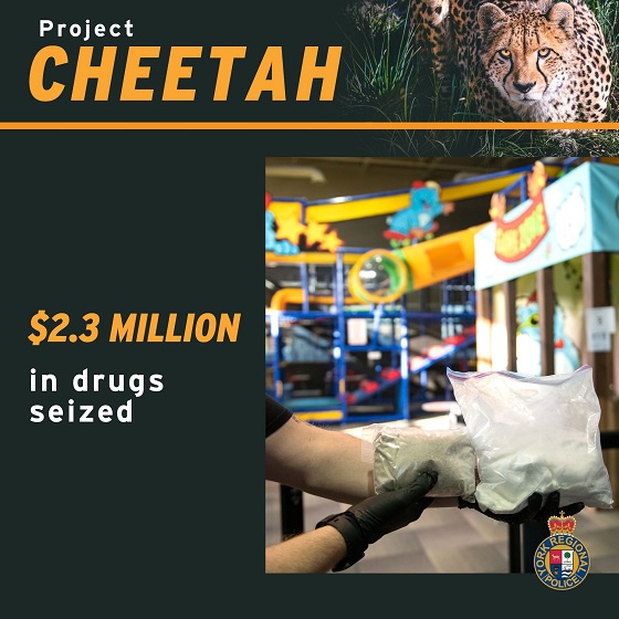 Woodstock Man Arrested in Massive International Drug Bust 104.7 Heart FM