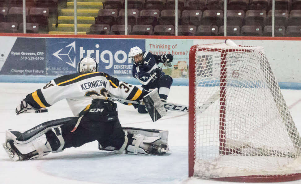 Tavistock Braves Hockey Club