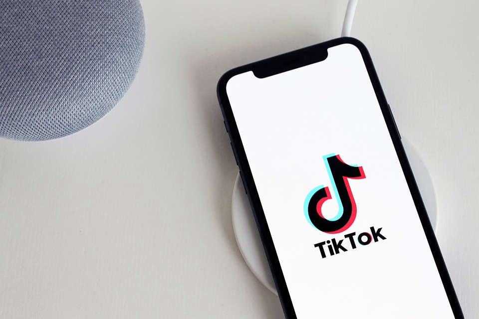 polarkreis 1999｜TikTok Search