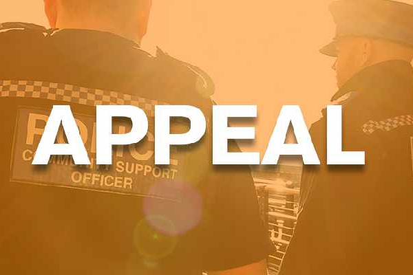 Witness Appeal After Pedestrian Is Seriously Injured In Chichester - V2 ...