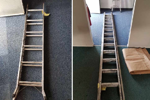 ladders 1 (web)