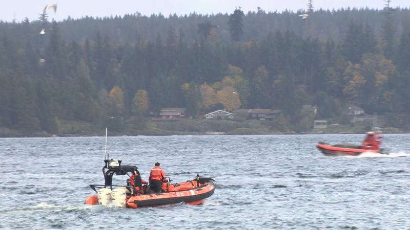 Missing Man, Rowboat Located After Search Off Vancouver Island - The ...