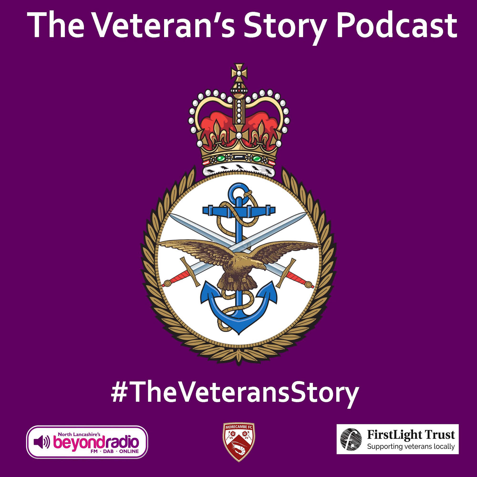 The Veteran's Story 