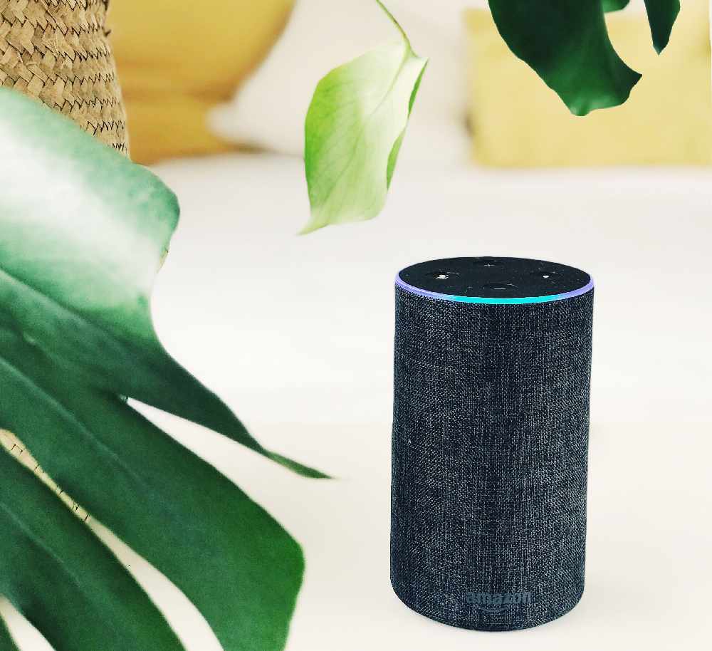 Boom 2 online alexa