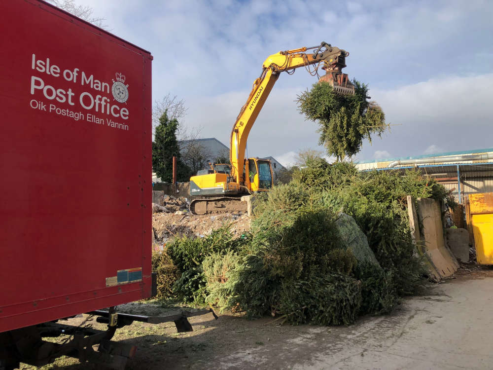 Christmas tree recycling service raises thousands for IOM Hospice 3FM