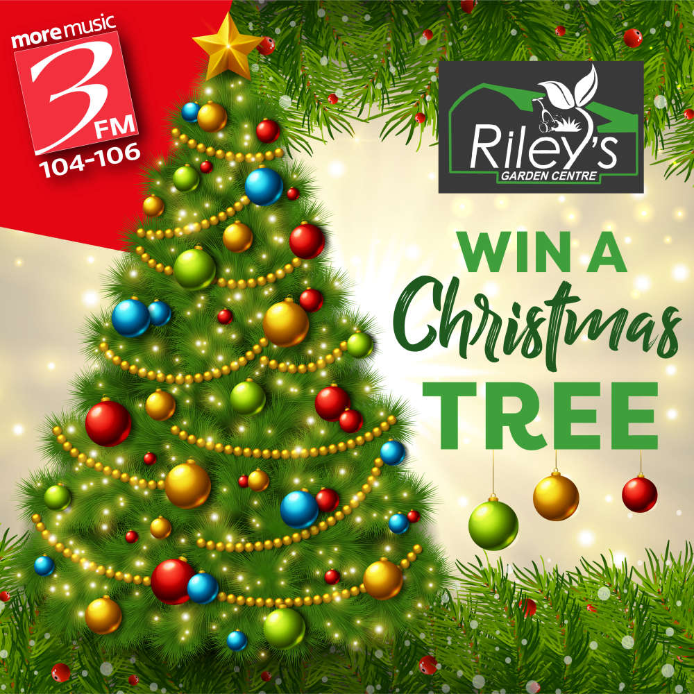 Win A Christmas Tree 3FM Isle of Man