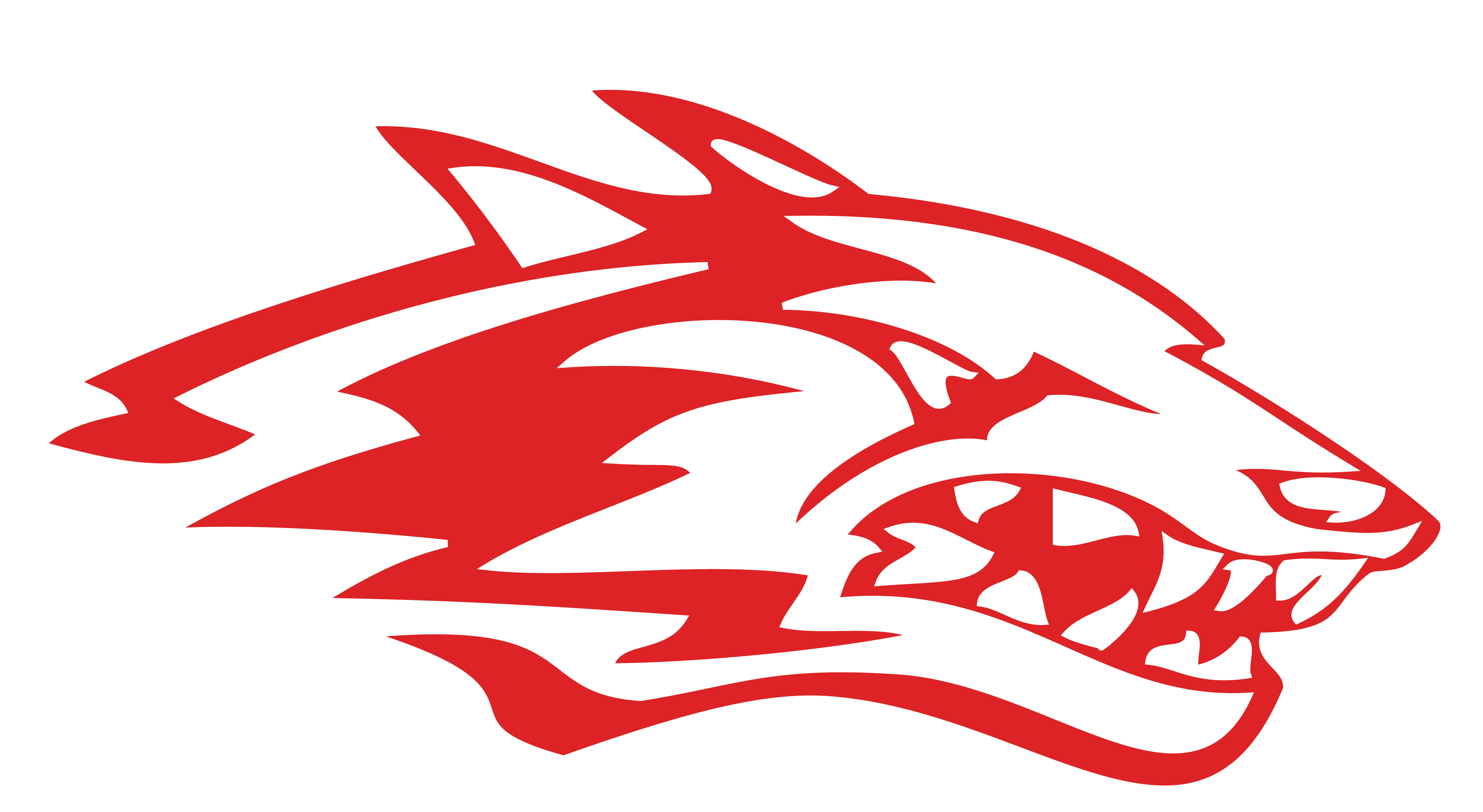 Reeds Spring Wolves Football