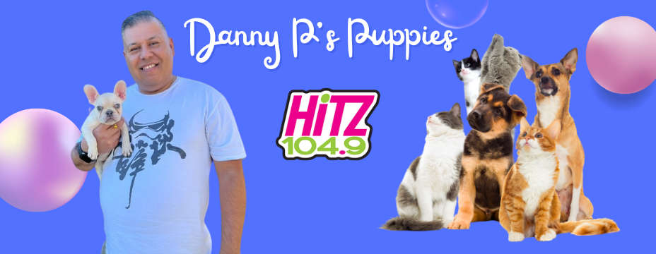 DANNY P'S PUPPIES