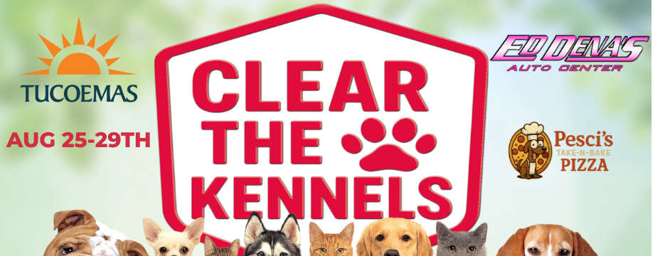 KENNELS