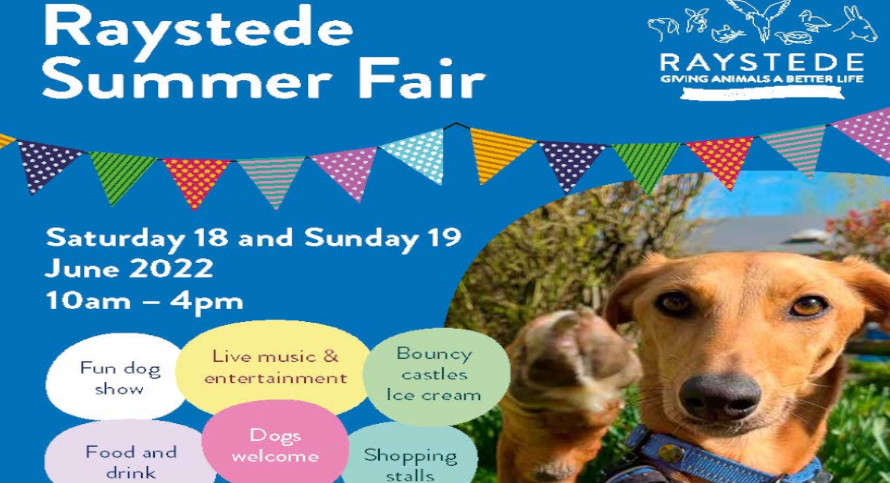 Summer fun at Raystede's fair while supporting animals in need - Ashdown  Radio