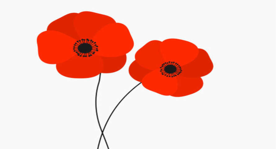 2023 National Poppy Campaign now underway