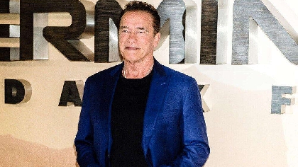 Arnold Terminates Pothole - Vimarsana News
