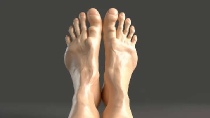 The human foot will look weird in 100 years! - Vimarsana News
