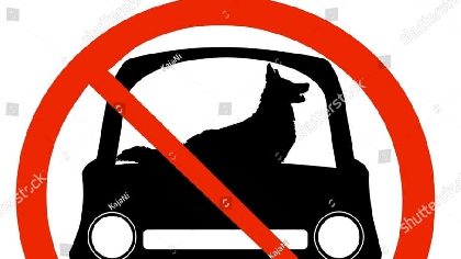 There's NO Excuse: No Hot Pets! - Vimarsana News