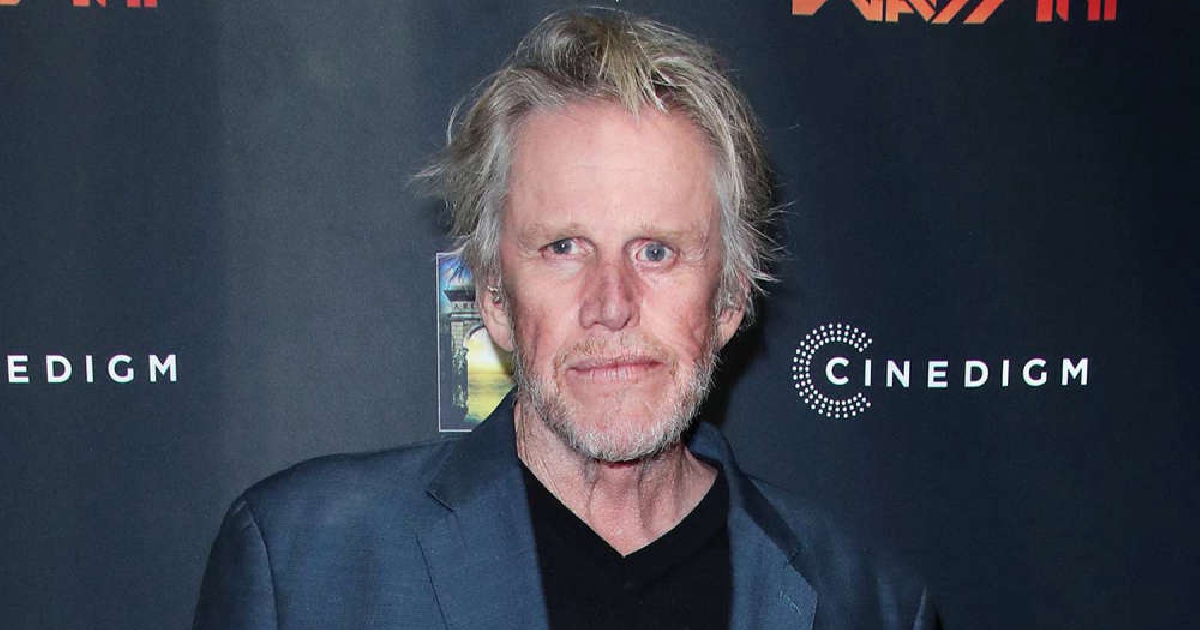 Gary Busey Fled a Hit-and-Run... Twice - Vimarsana News