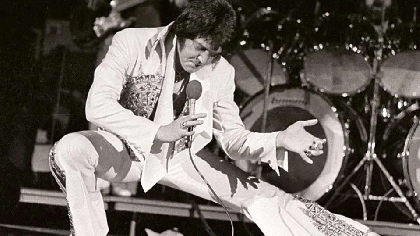 Elvis Evolved - Vimarsana News